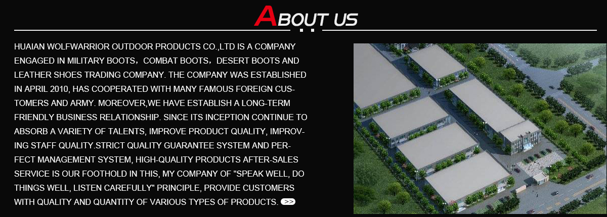 Company profile